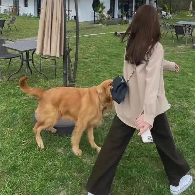 超级对撞机